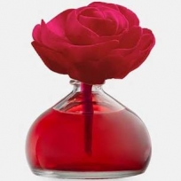 AMBIENTADOR FLOR FRUTOS ROJOS